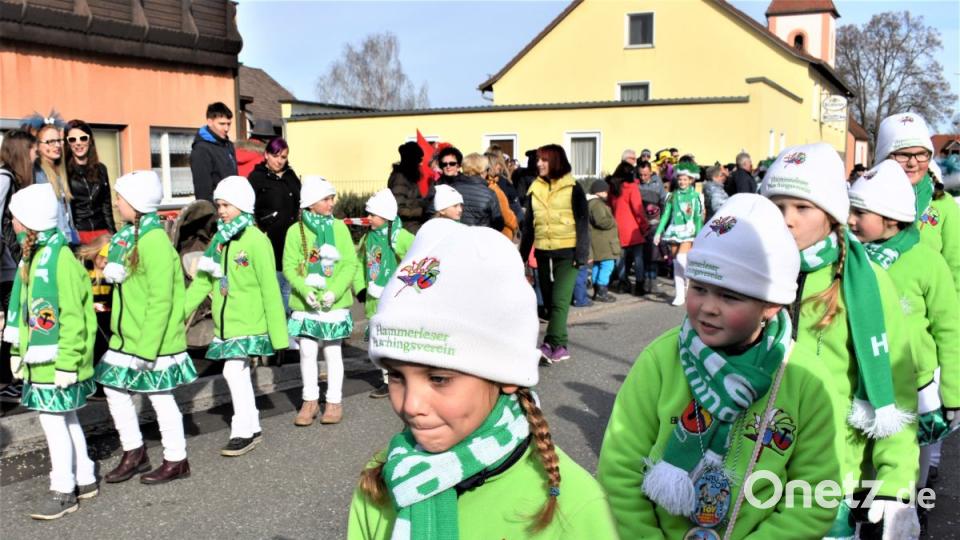 Faschingszug in Hütten Bild: rgr