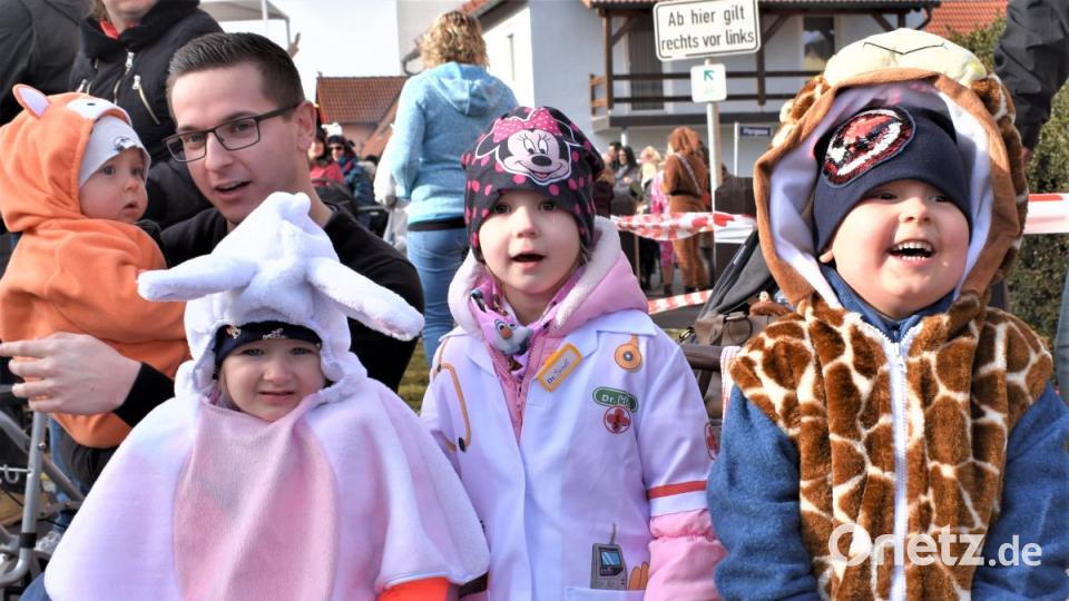 Faschingszug in Hütten Bild: rgr