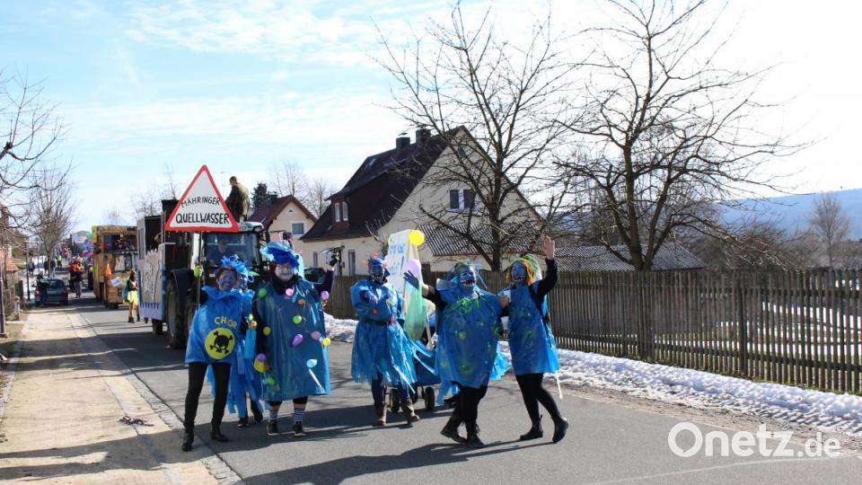 Faschingszug Mähring 2019. Bild: mri