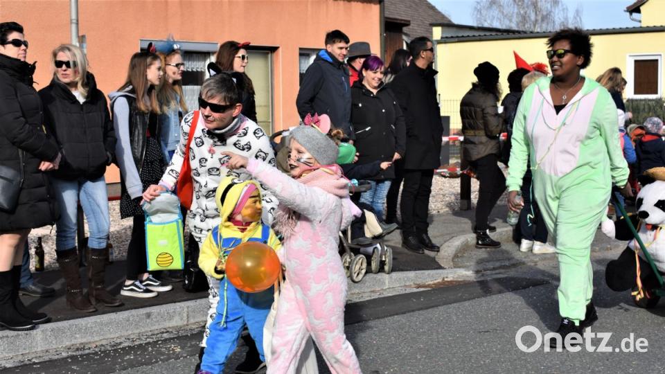 Faschingszug in Hütten Bild: rgr