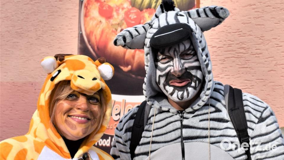 Faschingszug in Hütten Bild: rgr