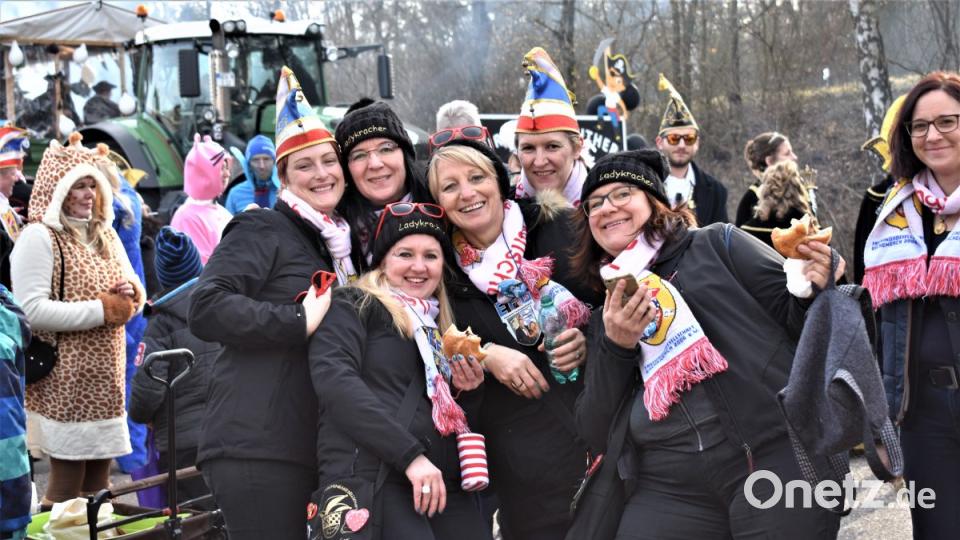 Faschingszug in Hütten Bild: rgr