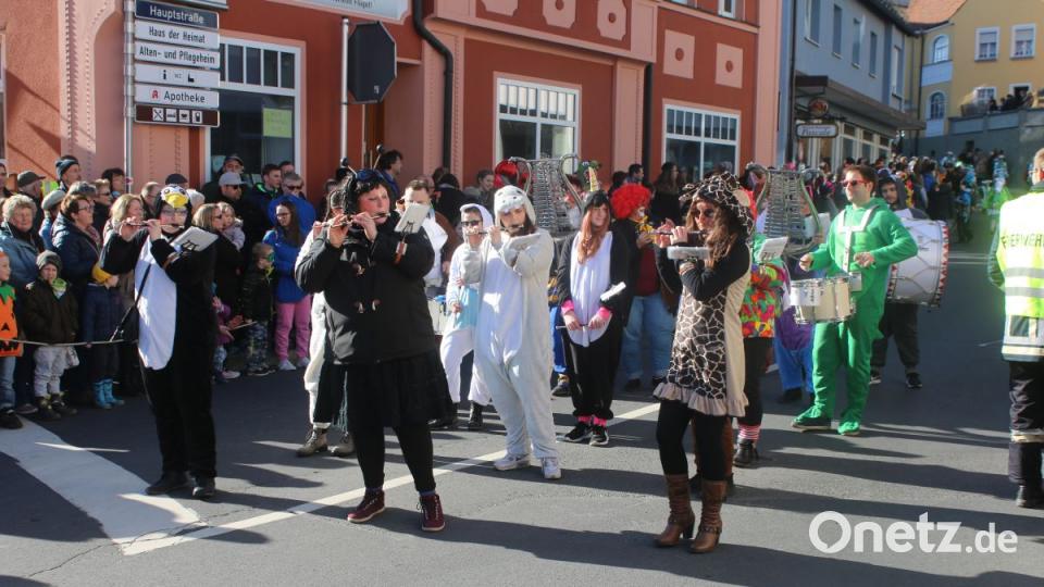 Faschingszug Pressath Bild: sne