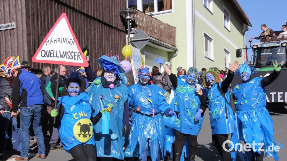 Faschingszug Mähring 2019 Bild: kro