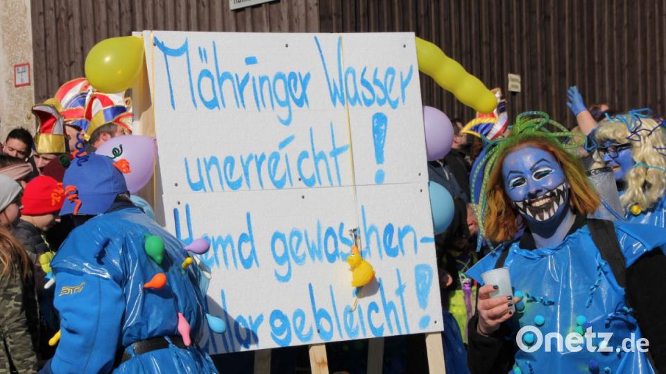 Faschingszug Mähring 2019 Bild: kro