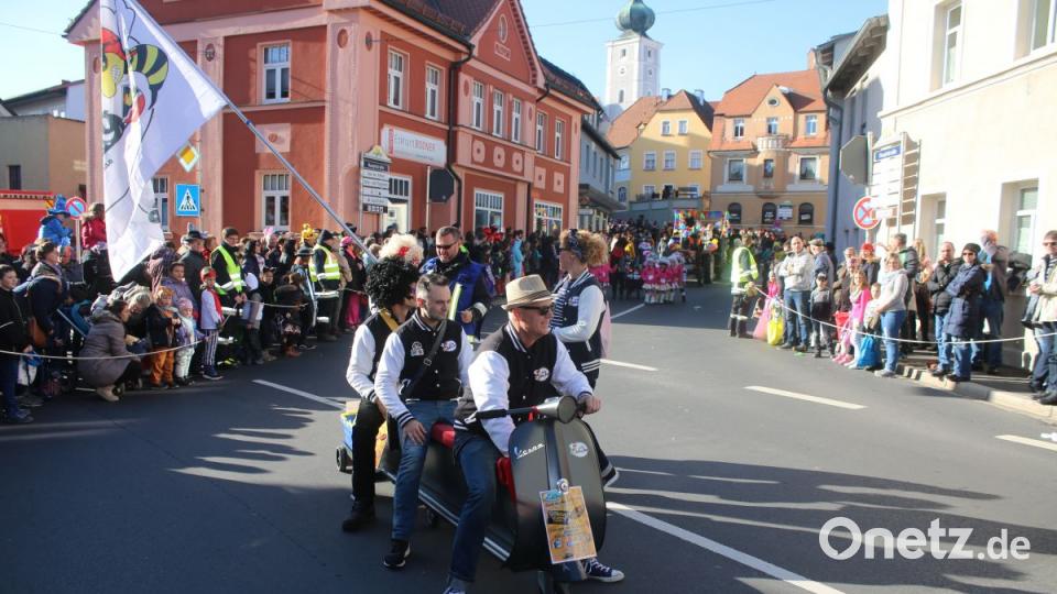 Faschingszug Pressath Bild: sne