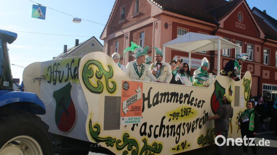 Faschingszug Pressath Bild: sne