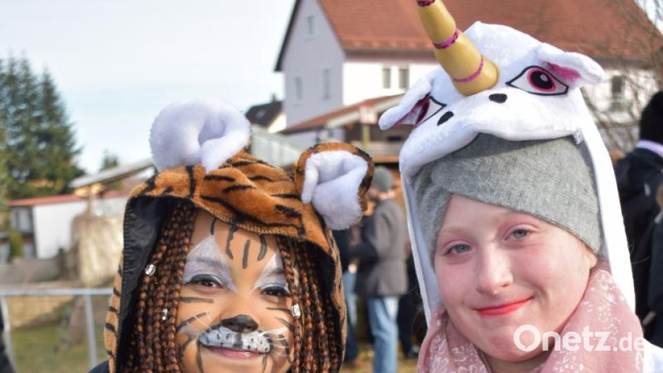 Faschingszug in Hütten Bild: rgr