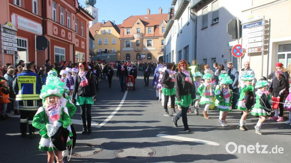 Faschingszug Pressath Bild: sne