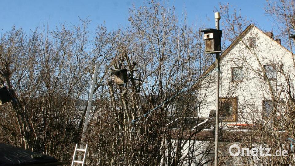 Wahrzeichen des Rohrer-Gartens sind die zahlreichen Wohnungen für die fliegenden Freunde. Bild: wro