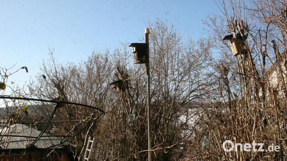 Die scheue Vogelwelt lässt sich nur dann sehen, wenn sie sich unbeobachtet fühlt. Bild: wro