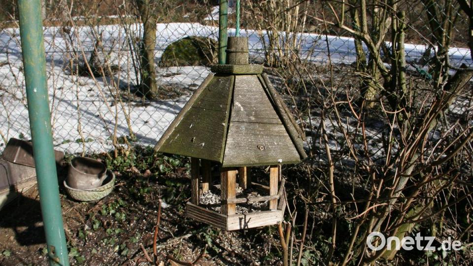 Für Nahrung im Winter sorgen Futterhäuschen. Bild: wro