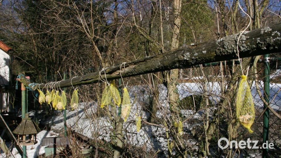 Der &quot;Tisch&quot; ist den ganzen Winter über gedeckt. Bild: wro