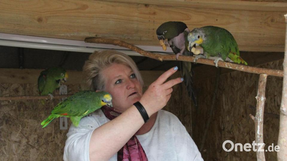 Viele Tiere haben schlimme Schicksale hinter sich. Ulrike Jackson holt sie mit ihrer Pflege zurück ins Leben. Bild: kmo