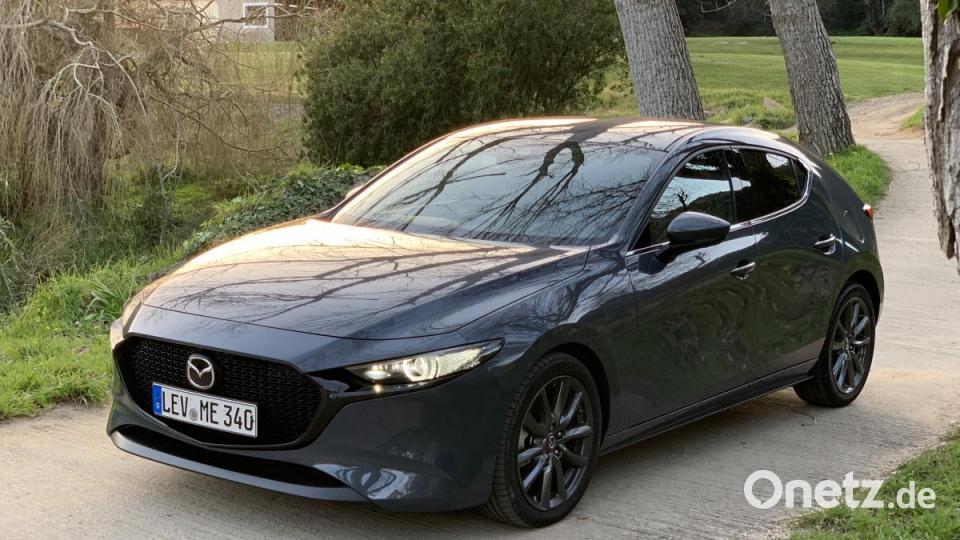 City-Notbremsfunktion mit Fußgängererkennung, Apple Carplay und Android Auto, Spurwechselassistent, Ausparkhilfe, Voll-LED-Scheinwerfer, 16-Zoll-Alus -alles Serie. Bild: Michael Ascherl
