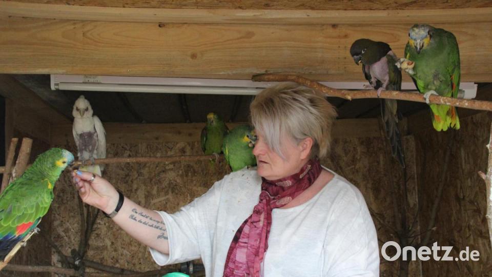 ...Ulrike Jackson holt sie mit ihrer liebevollen Pflege zurück ins Leben. Bild: kmo