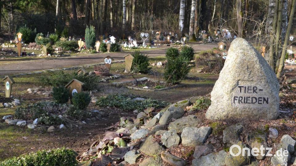 Eine Oase der Ruhe für die verstorbenen Hausgenossen ist der Tierfriedhof im Weidener Westen. Bild: hcz