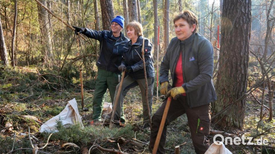 Viele Jahre schon pflanzen Betty Marzi (von rechts), Jutta Schieder und Herbert Arnold im Auftrag von Revierförster Martin Gottsche. Bild: Gabi Schönberger