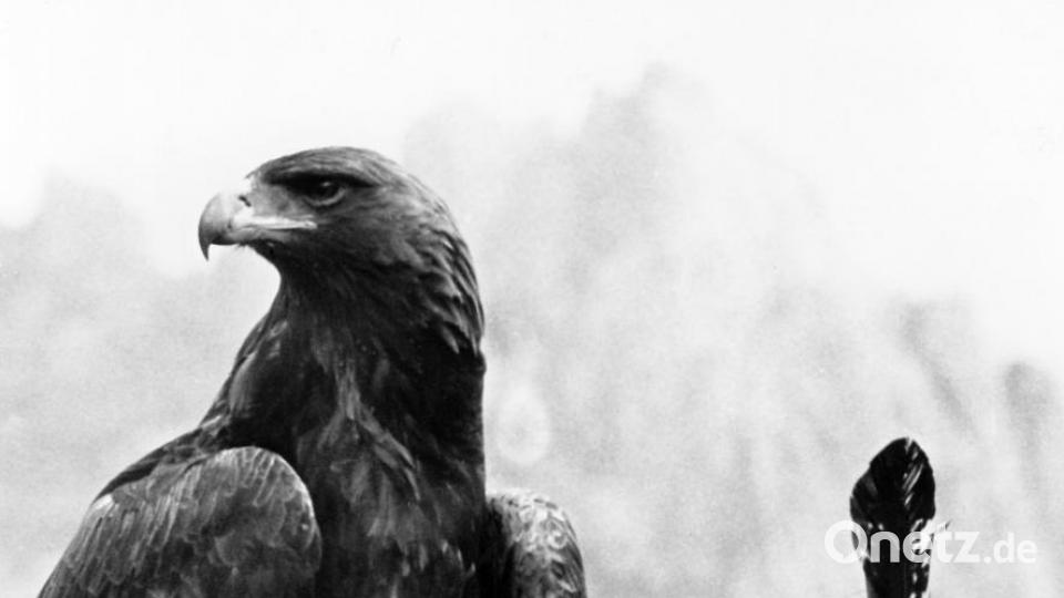 Uschi Glas feiert ihren 75. Geburtstag. Bild: agentur_dpa