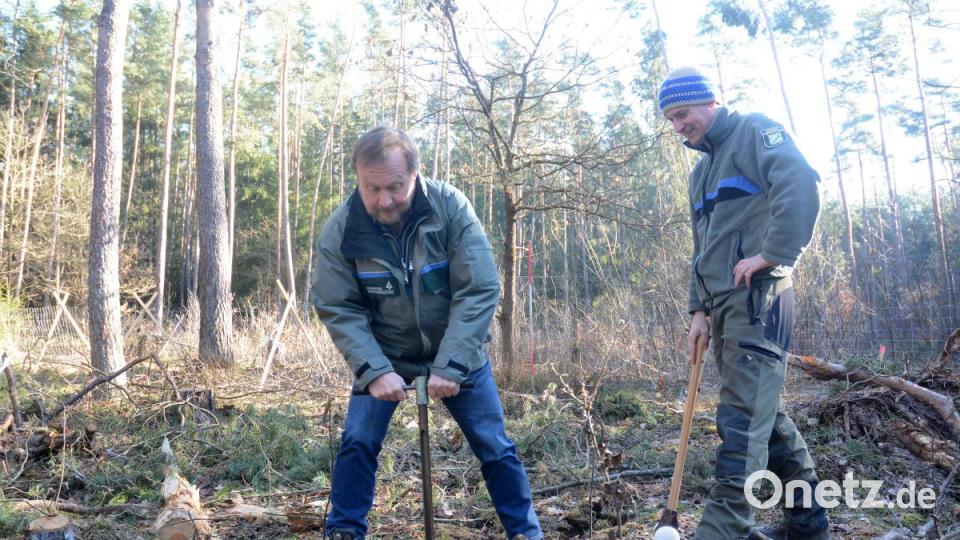 Moritz Neumann zieht den Bohrstock aus der Erde. Bild: Gabi Schönberger