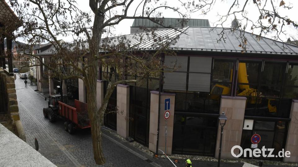 Baumfällaktion in der Fronfestgasse in Amberg Bild: Petra Hartl