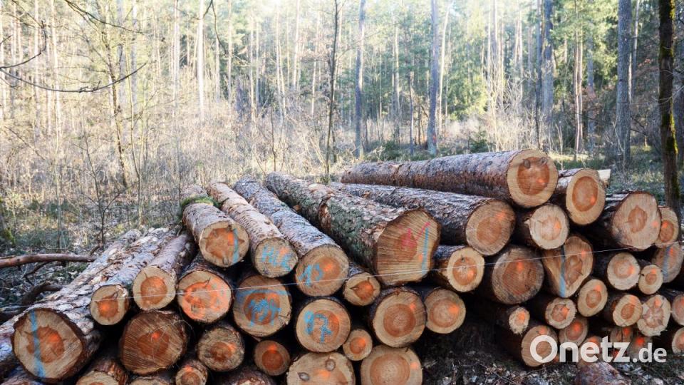 In den Wäldern rund um Grafenwöhr stapeln sich Tausende Festmeter Sturmholz. Das Meiste musste der Harvester wegarbeiten. Bild: Gabi Schönberger