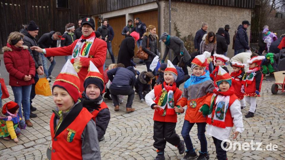 47. Waldecker Faschingsumzug Bild: bkr