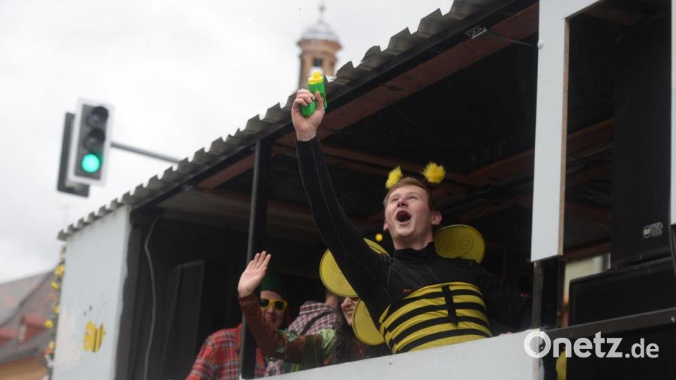 Fröhliche Biene. Bild: brü