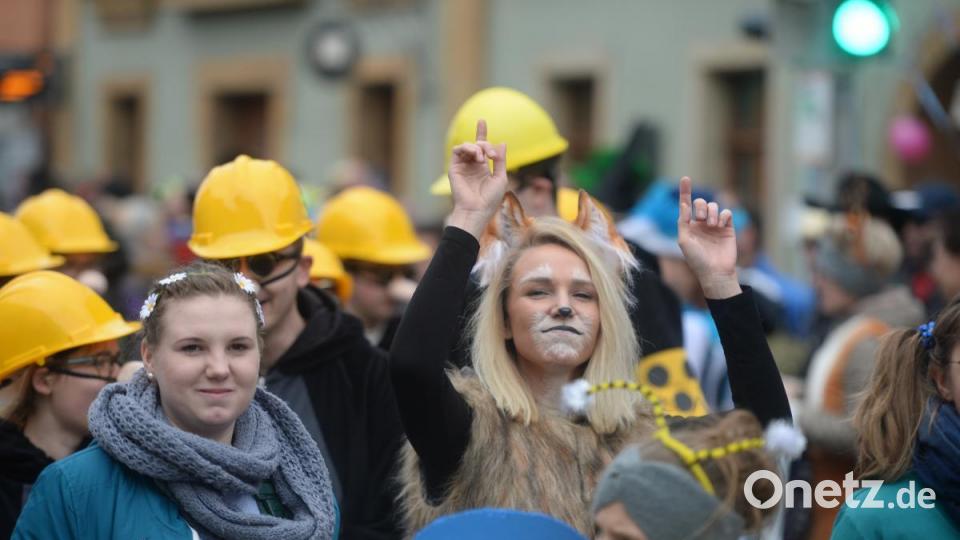 Süße jubelnde Katze. Bild: brü