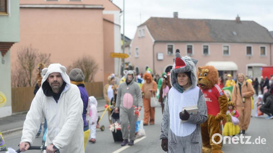 Ein Wolf. Bild: brü