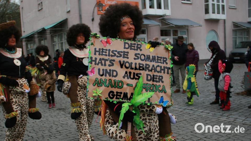 Rosenmontagsumzug in Wiesau Bild: wro