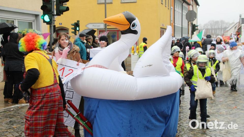 Der Schwan vom Stadtweiher Bild: jma