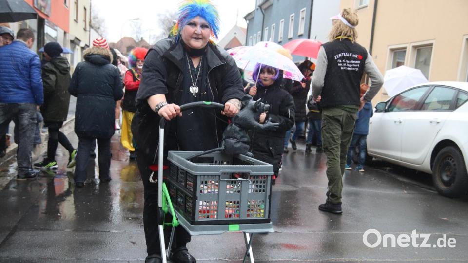 Auch eine Abordnung der "Zauberhöhle" nahm am ersten Rosenberger Faschingsumzug teil. Bild: mfh