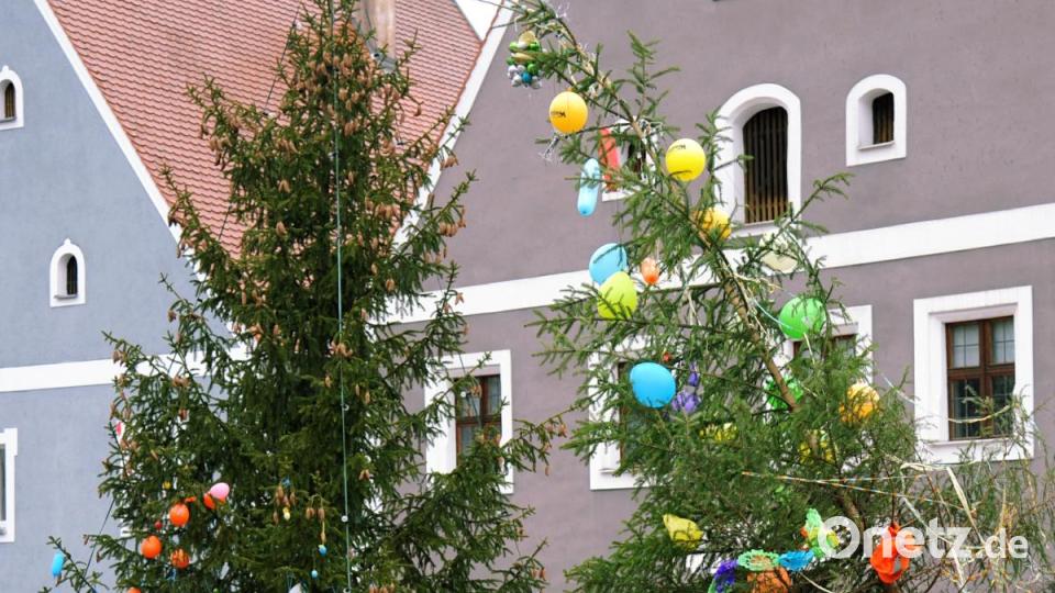 Der Christbaum vor dem Rathaus hat ausgedient, steht aber immer noch. Und er soll bis Ostern bleiben. Wie er dann ausschaut, das zeigte die &quot;Tanne mit wenig Nadeln&quot;. Bild: gf