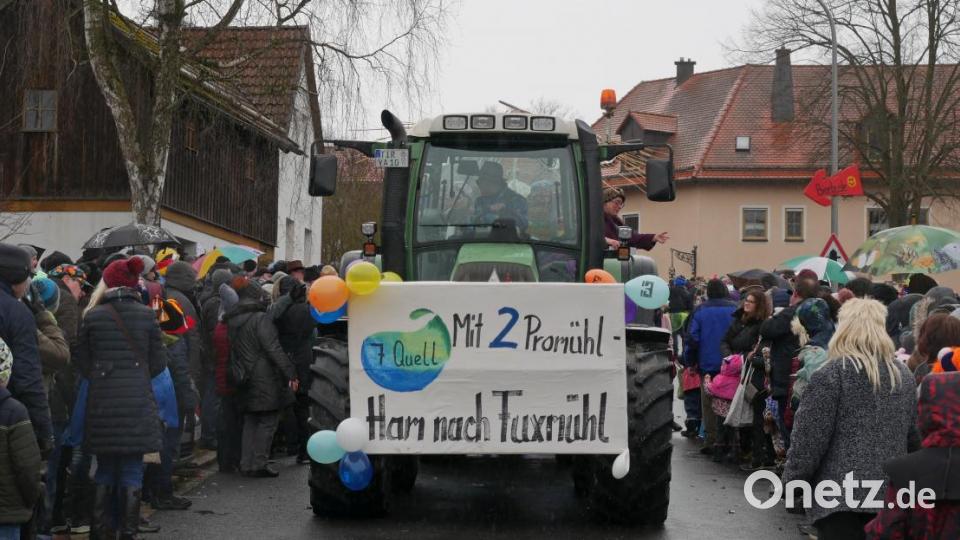Faschingszug Münchenreuth. Bild: tr