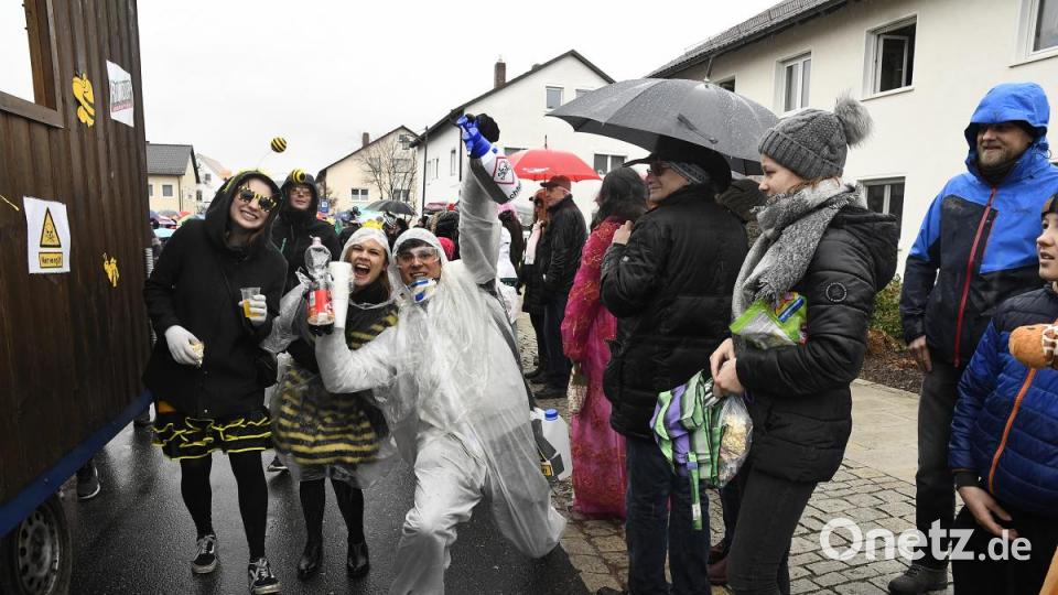 Faschingszug in Freudenberg Bild: Petra Hartl