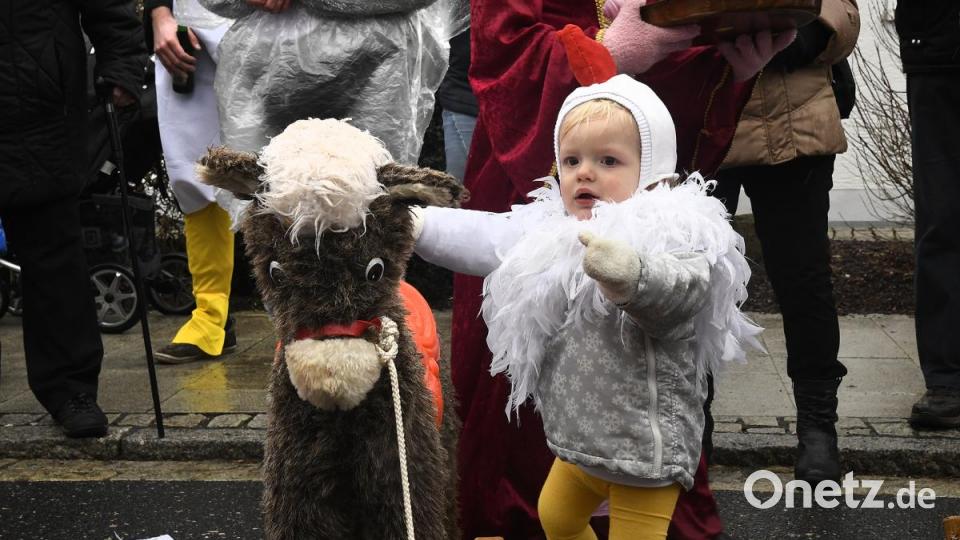 Faschingszug in Freudenberg Bild: Petra Hartl