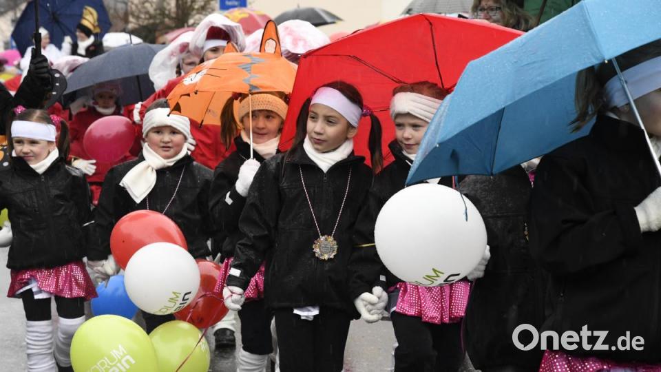 Faschingszug in Freudenberg Bild: Petra Hartl