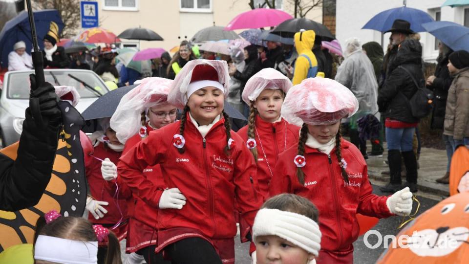 Faschingszug in Freudenberg Bild: Petra Hartl
