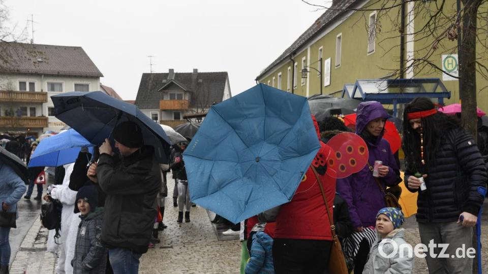 Faschingszug in Freudenberg Bild: Petra Hartl