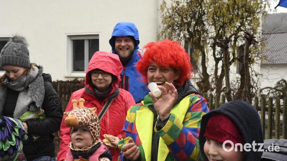 Faschingszug in Freudenberg Bild: Petra Hartl