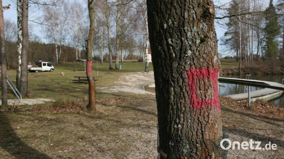 Was diese Zeichen bedeuten, wissen wohl nur die Täter. Bild: wro
