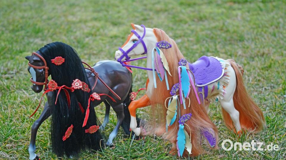 Über 1500 Barbies sind im Besitz von Melanie Korsche. Dabei hat ihre Sammelleidenschaft erst im Erwachsenenalter begonnen. Bild: Gabi Schönberger