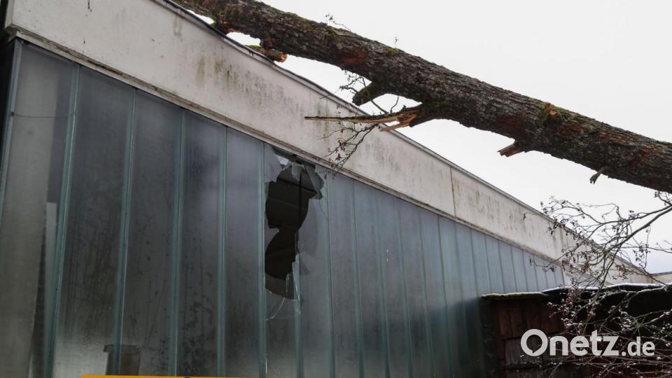Während des Sturm stürzen viele Bäume im Landkreis Tirschenreuth um. Manche fallen auch auf Häuser und sorgen für Schaden. Bild: rw