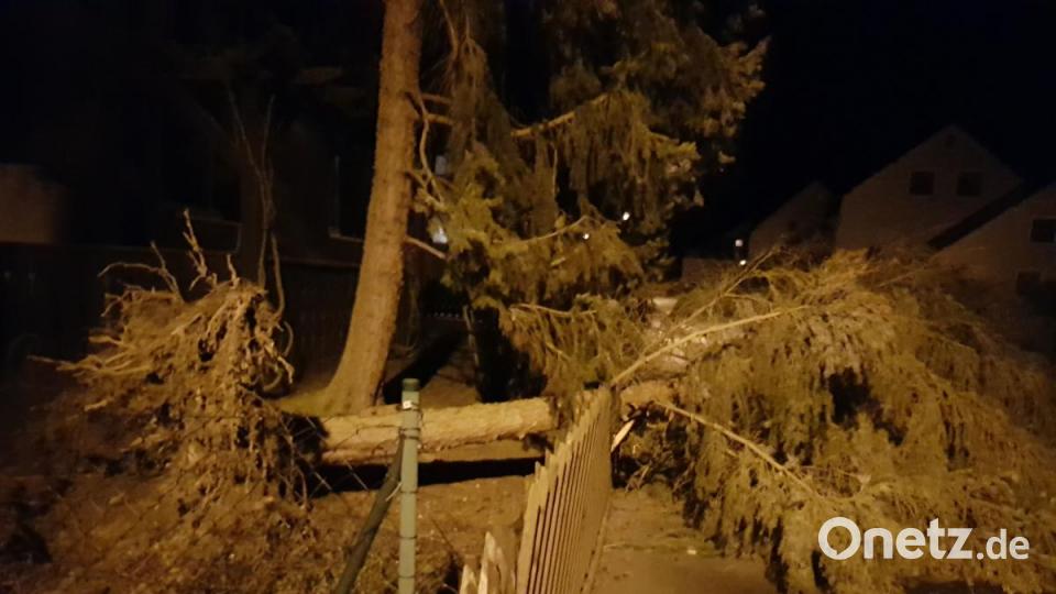Während des Sturm stürzen viele Bäume im Landkreis Tirschenreuth um. Manche fallen auch auf Häuser und sorgen für Schaden. Bild: exb