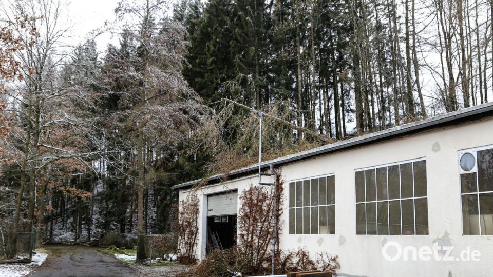 Während des Sturm stürzen viele Bäume im Landkreis Tirschenreuth um. Manche fallen auch auf Häuser und sorgen für Schaden. Bild: rw