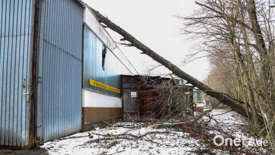 Während des Sturm stürzen viele Bäume im Landkreis Tirschenreuth um. Manche fallen auch auf Häuser und sorgen für Schaden. Bild: rw