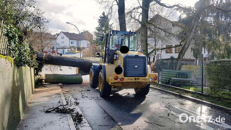 Die meisten Sturmschäden im Landkreis Amberg-Sulzbach: umgestürzte Bäume. Bild: Feuerwehr Schlicht