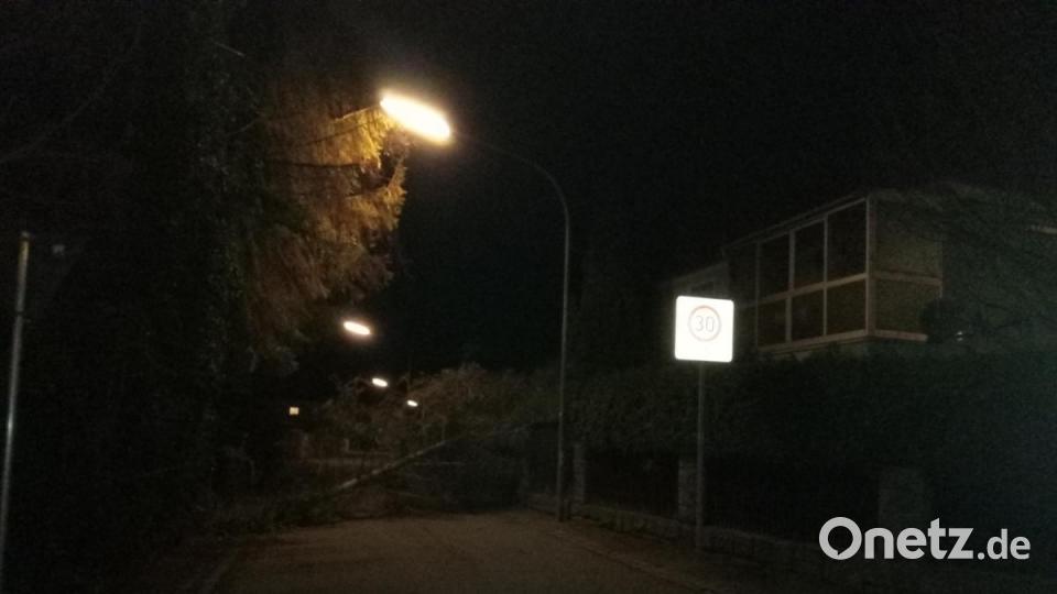 Umgestürzter Baum auf der Keimelstraße in Weiden. Bild: ui