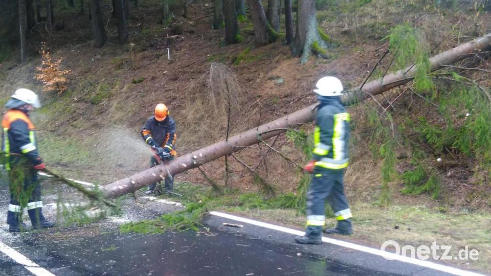 Vielerorts blockieren stürzen Bäume auf die Fahrbahn. Die Feuerwehren müssen immer wieder die Motorsäge anwerfen, um die Fahrbahnen frei zu bekommen. Bild: Feuerwehr Neusorg